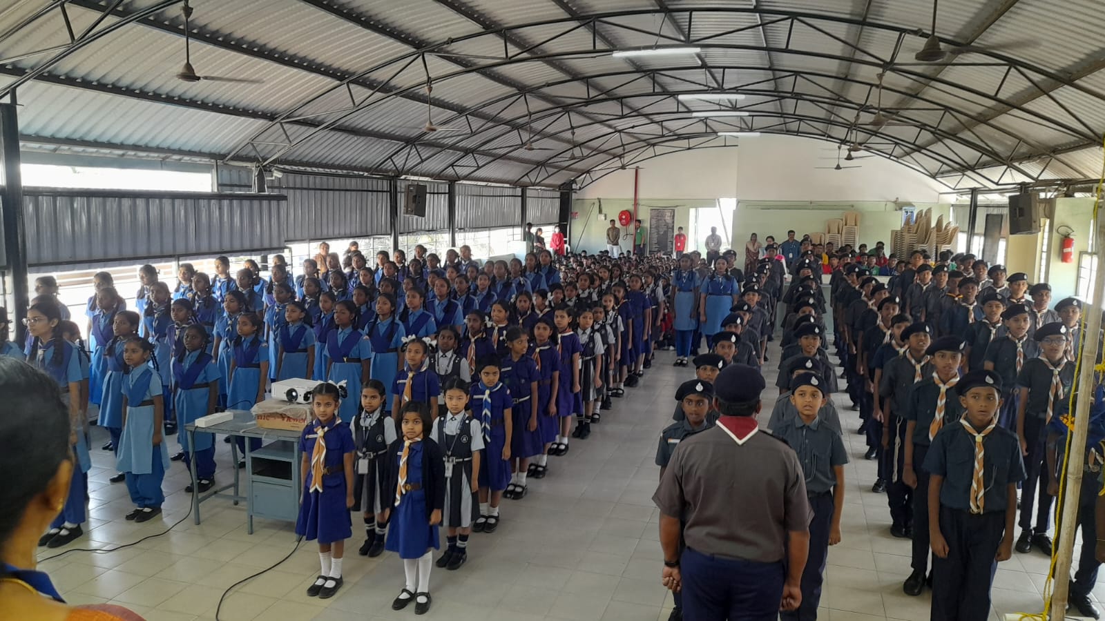 Institutional scout team activity